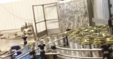 Aliments humides pour animaux