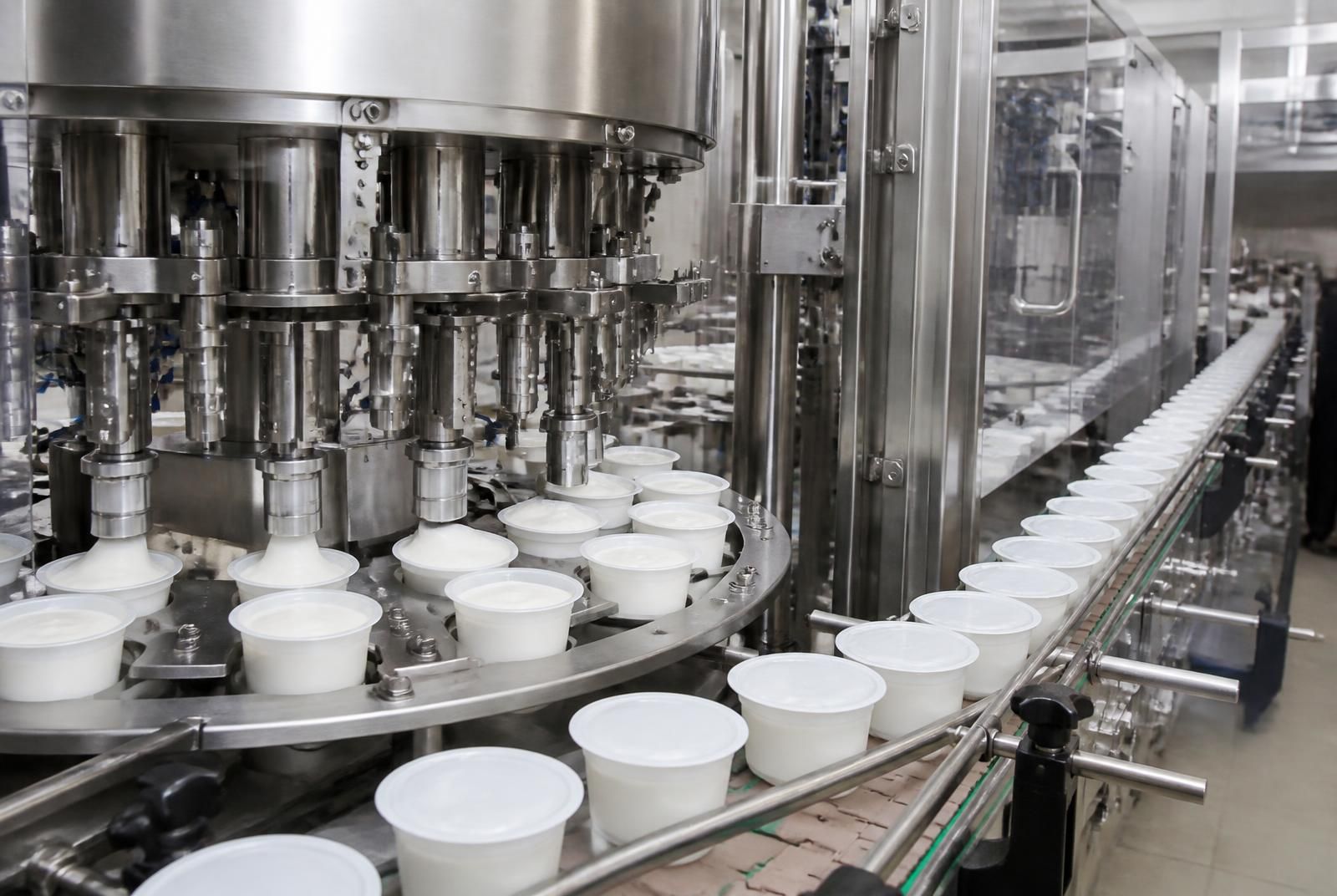 Riempitrice rotativa che dosa yogurt in vasetti sigillati su nastro di confezionamento in acciaio inox