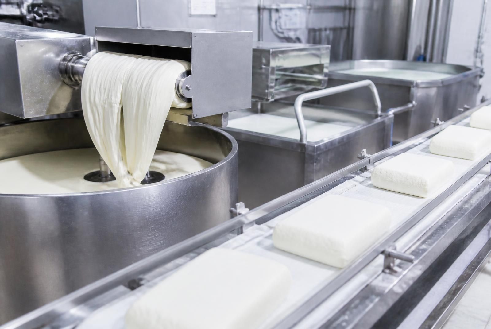 Linea di produzione formaggio con filatrice per mozzarella, vasche di coagulazione e nastro con blocchi di pasta filata