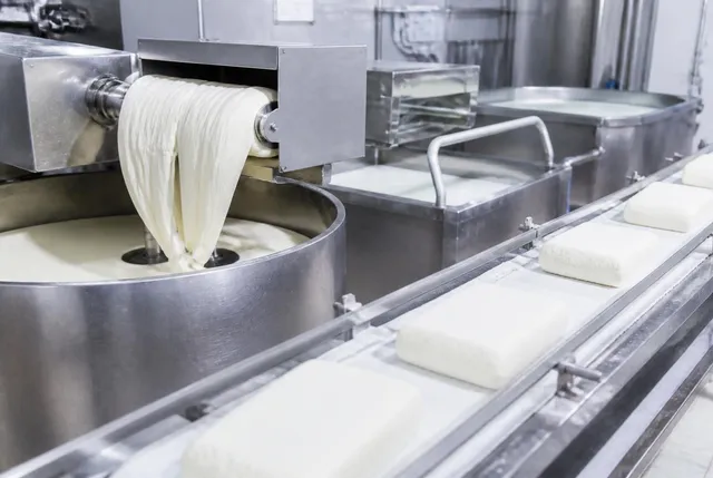 Vasche di coagulazione e lavorazione formaggi in acciaio inox